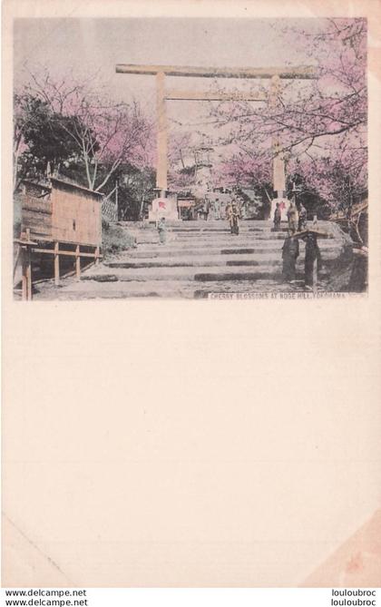 YOKOHAMA CHERRY  BLOSSOMS AT NOGE HILL