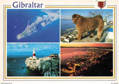 GIBRALTAR Gibilterra Fliegeraufnahme Leuchtturm Hafenpartie Affe