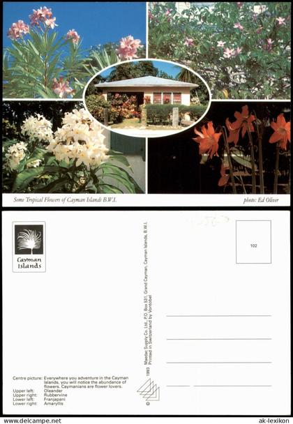 George Town (Cayman Islands) Cayman Islands Mehrbild Haus Blumen 1989