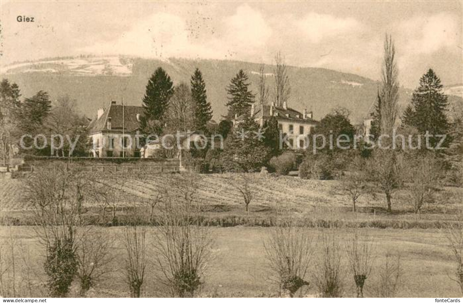 Giez Grandson VD Panorama