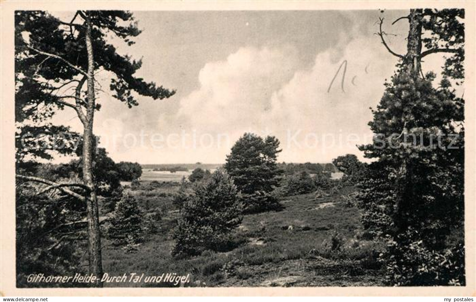 Gifhorn Heide Durch Tal und Huegel
