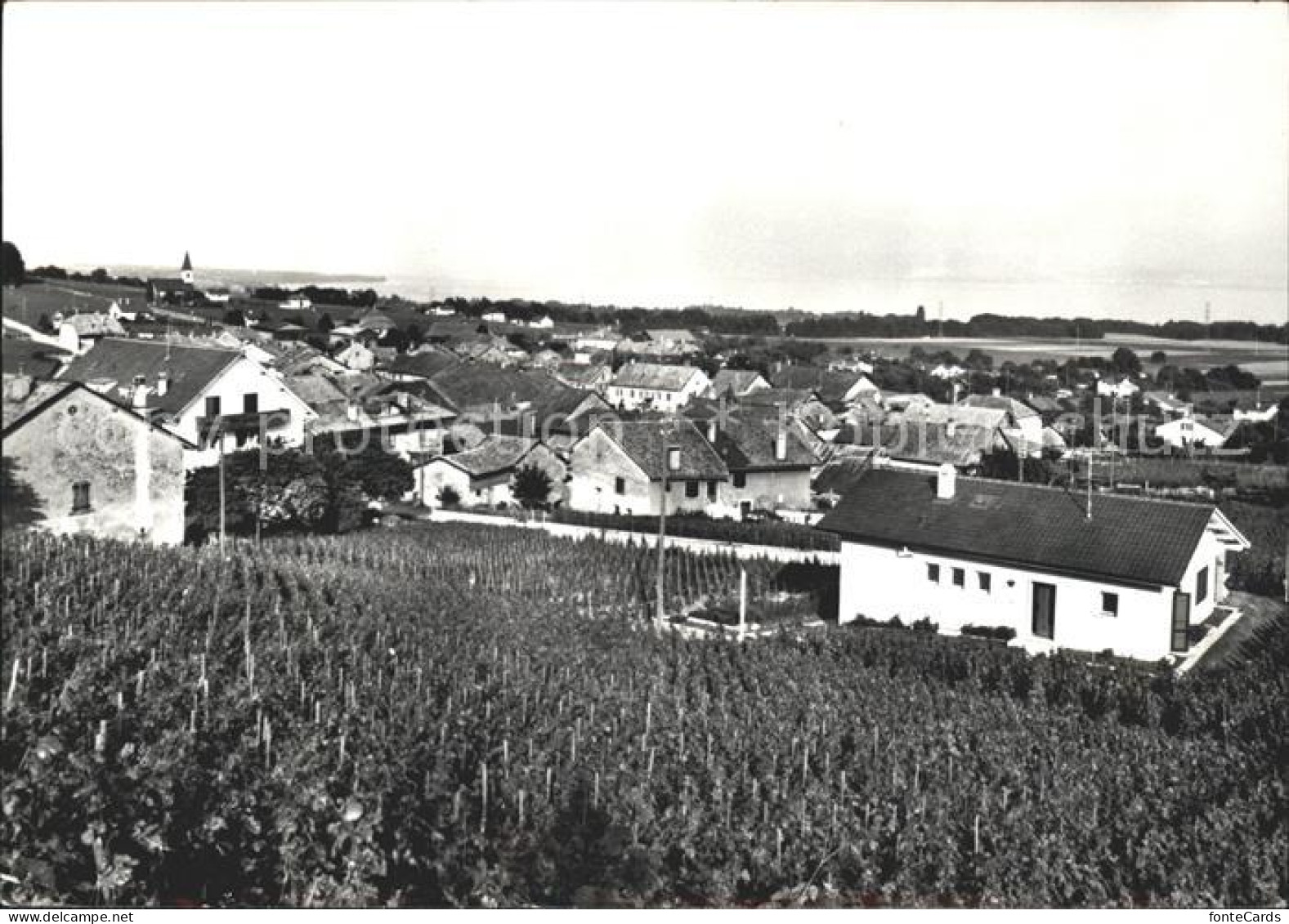 Gilly Rolle Vue generale