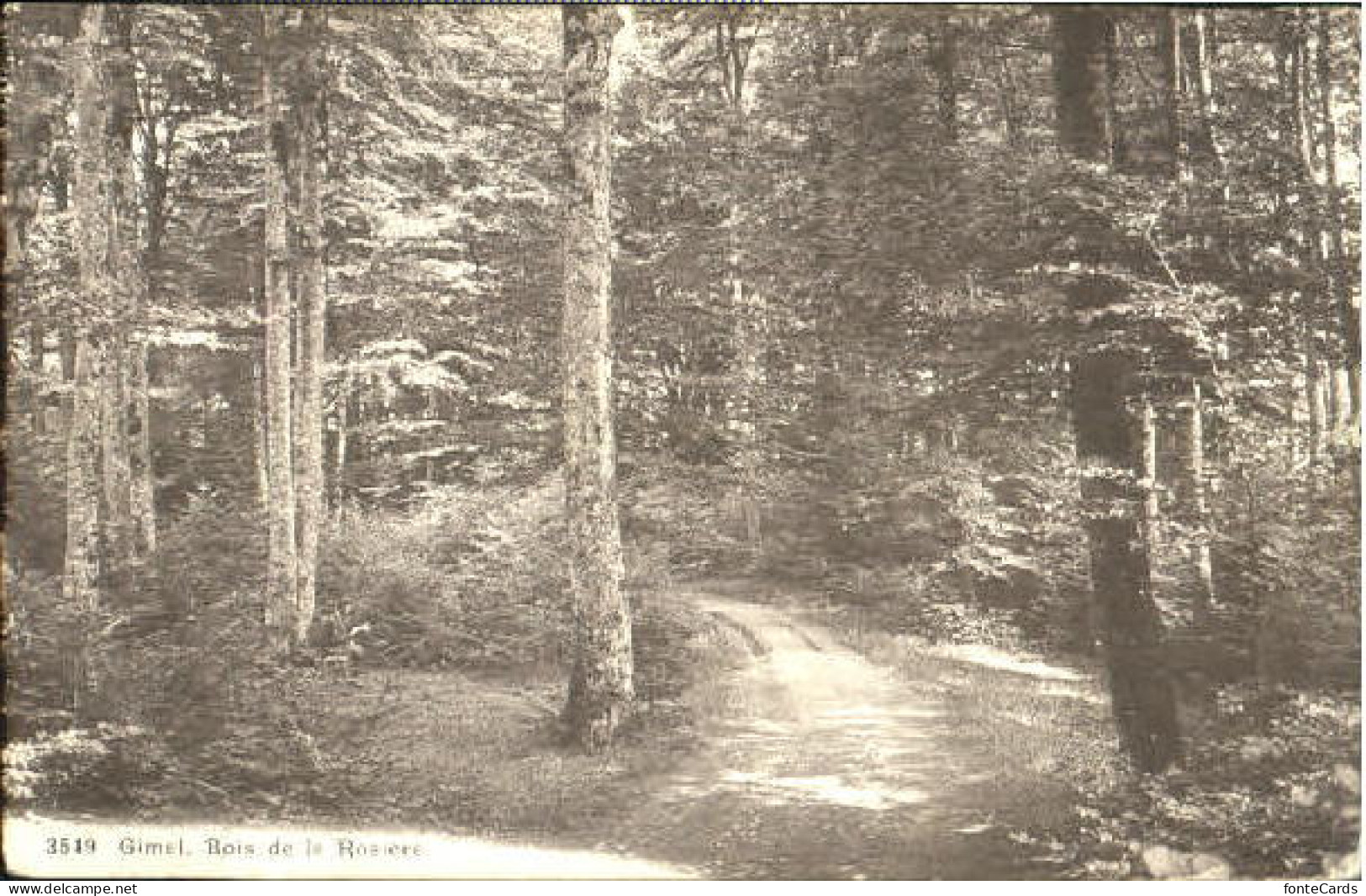 Gimel VD Gimel  x 1913