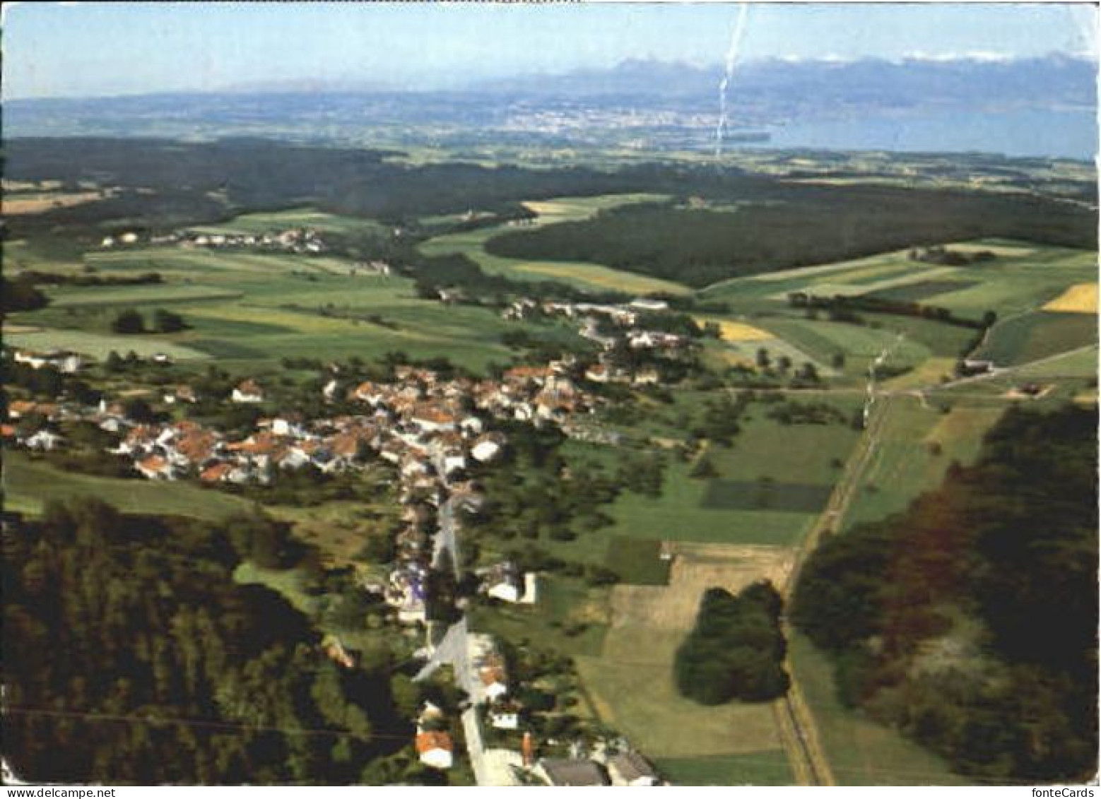 Gimel VD Gimel  x 1980