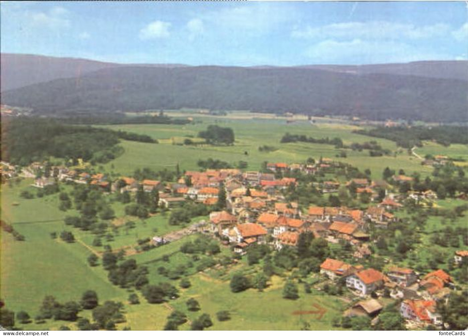 Gimel VD Gimel  x 1983