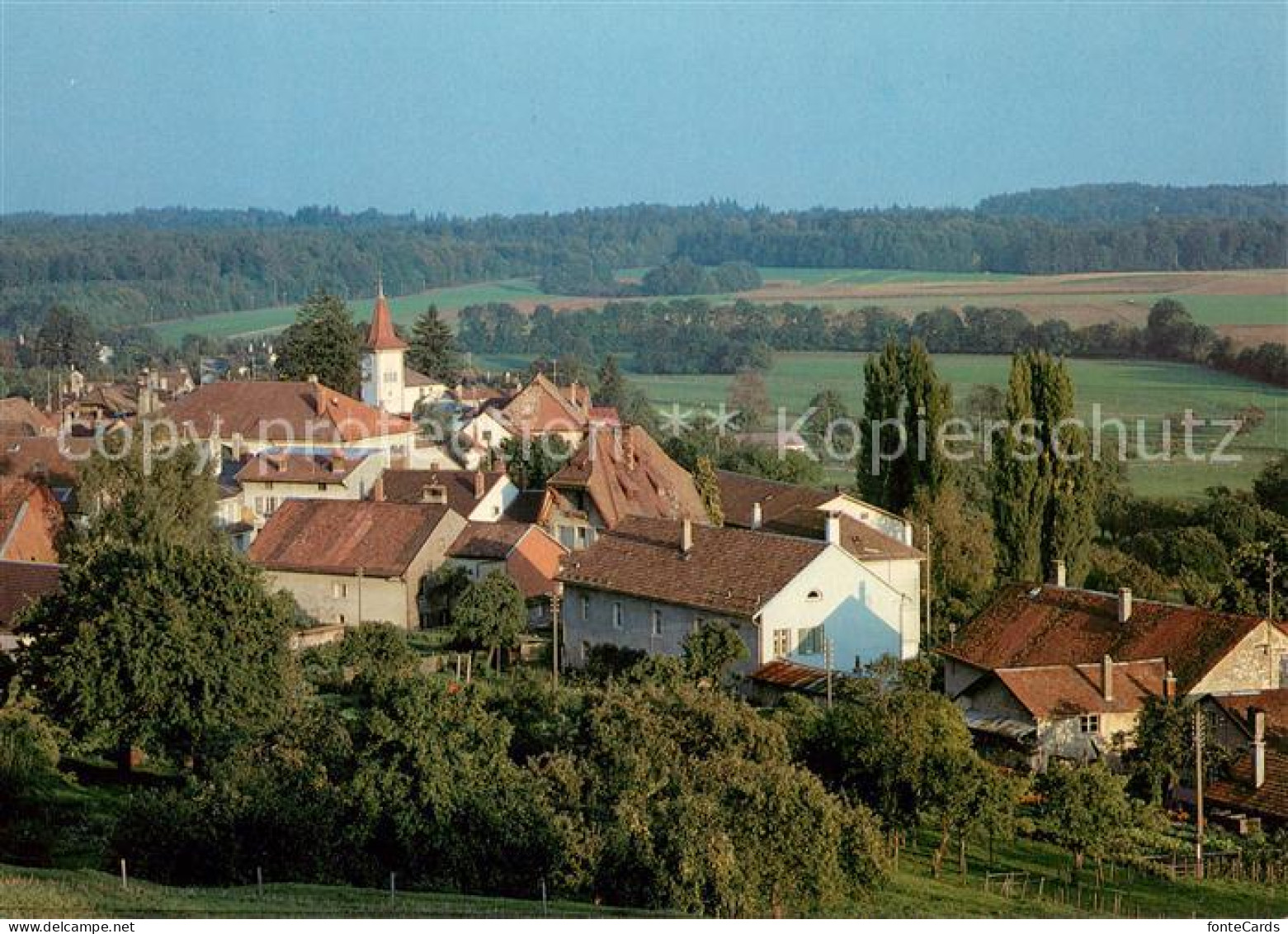 Gimel VD Panorama