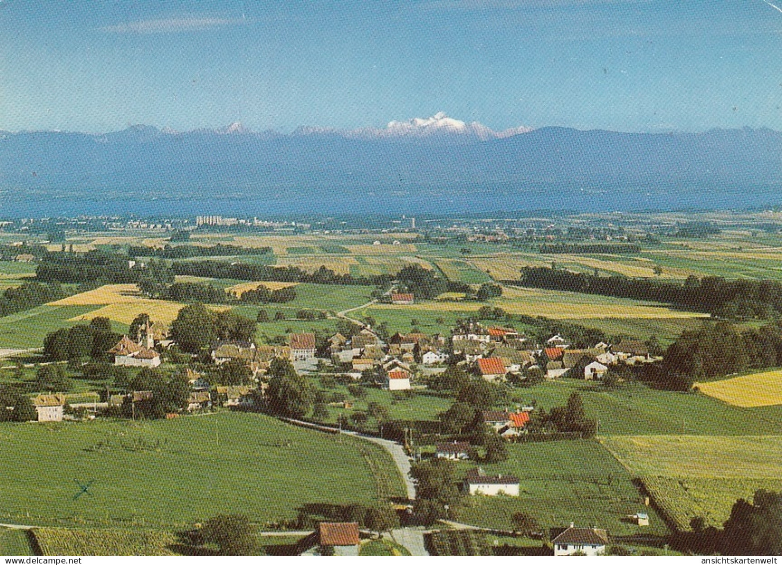 Gingins, Le Lac Léman et le Mont-Blanc gl1973 #E2457