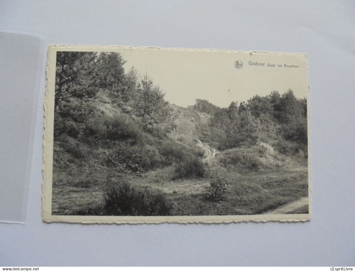 GISTOUX Dans les Bruyères Chaumont Gistoux Carte Postale AK PK CP