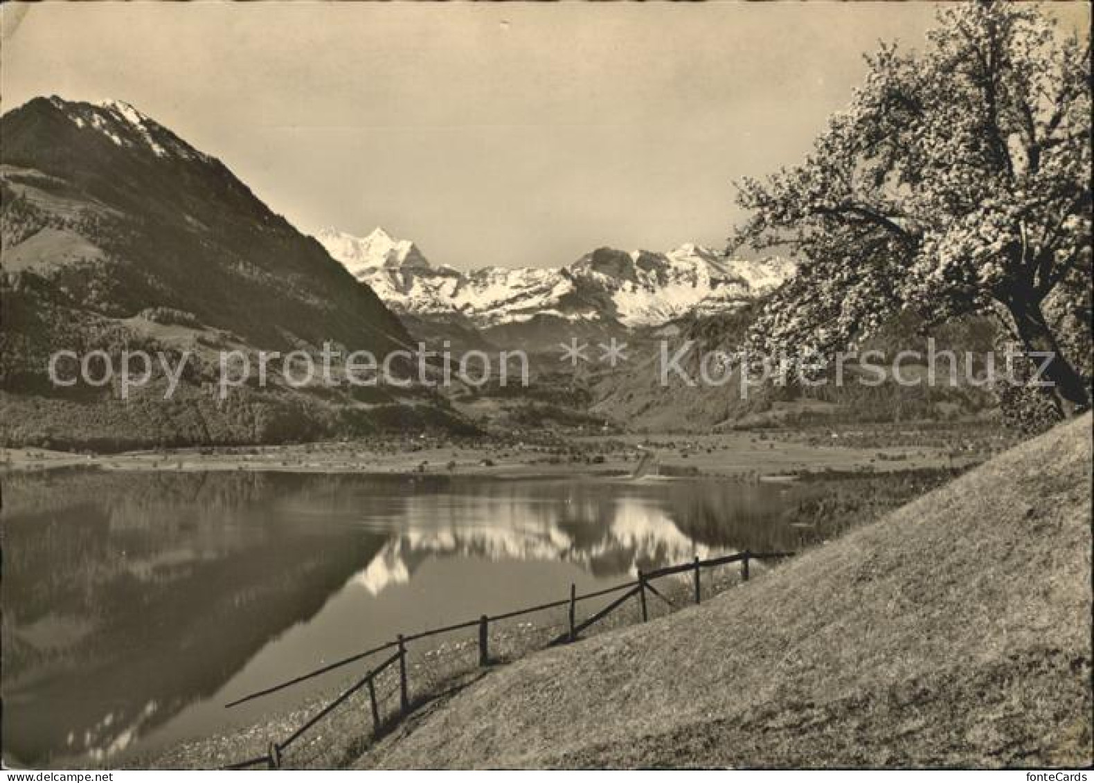 Giswil Wilen Sarnersee Berner Alpen