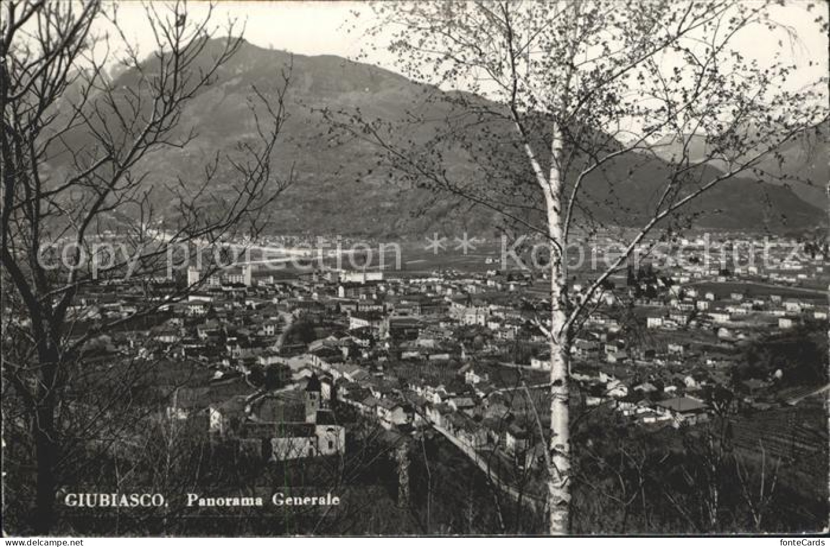 Giubiasco Panorama generale