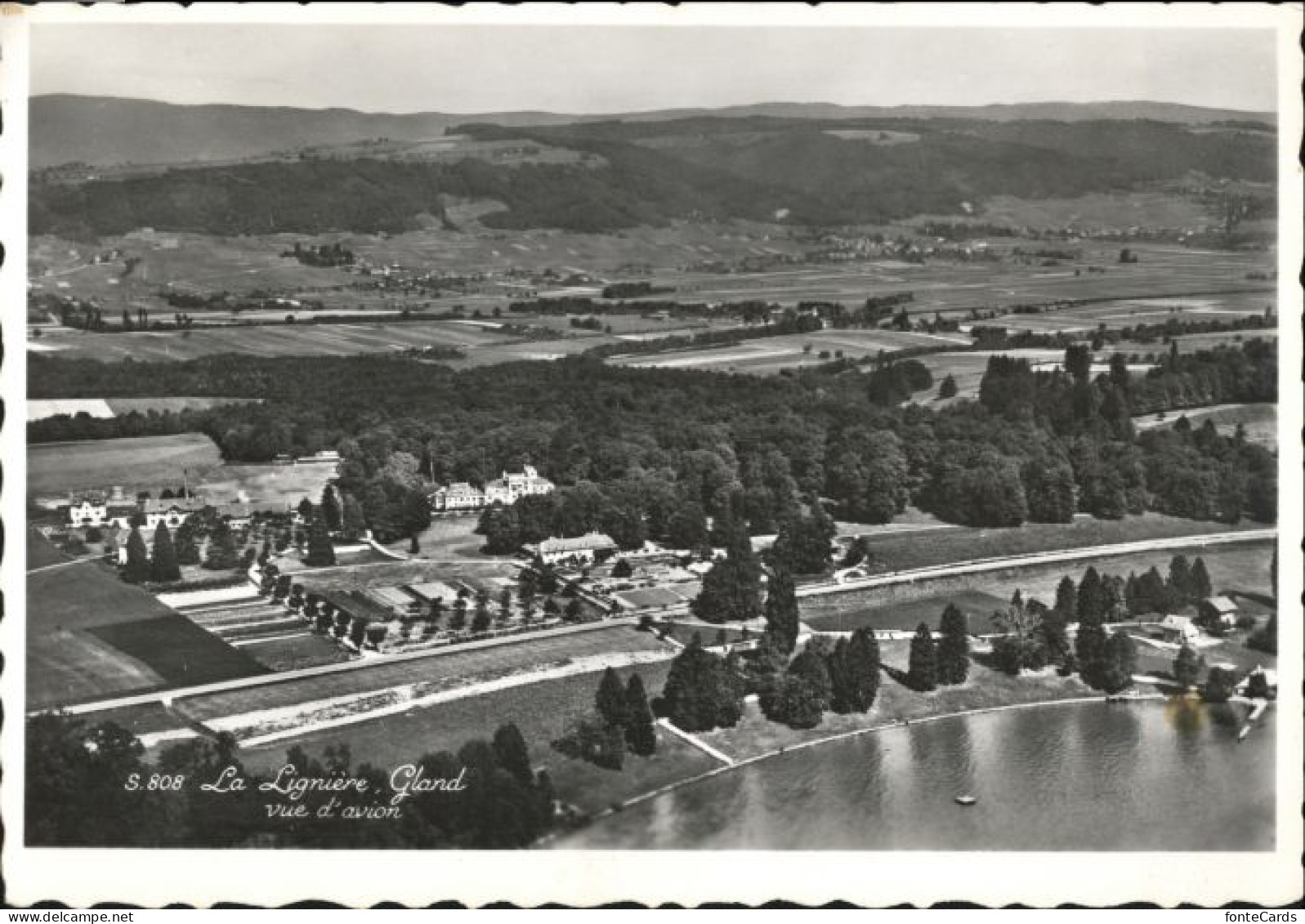 Gland VD Gland Fliegeraufnahme