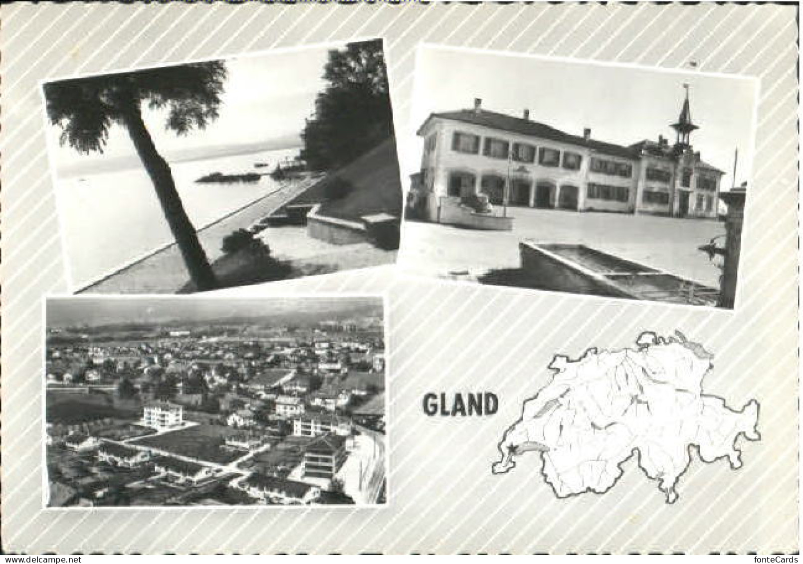 Gland VD Gland  x 1967