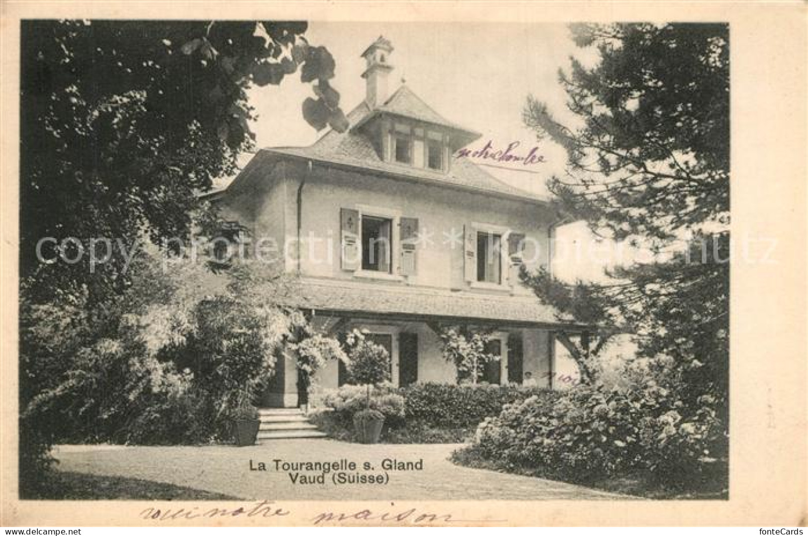 Gland VD la Tourangelle