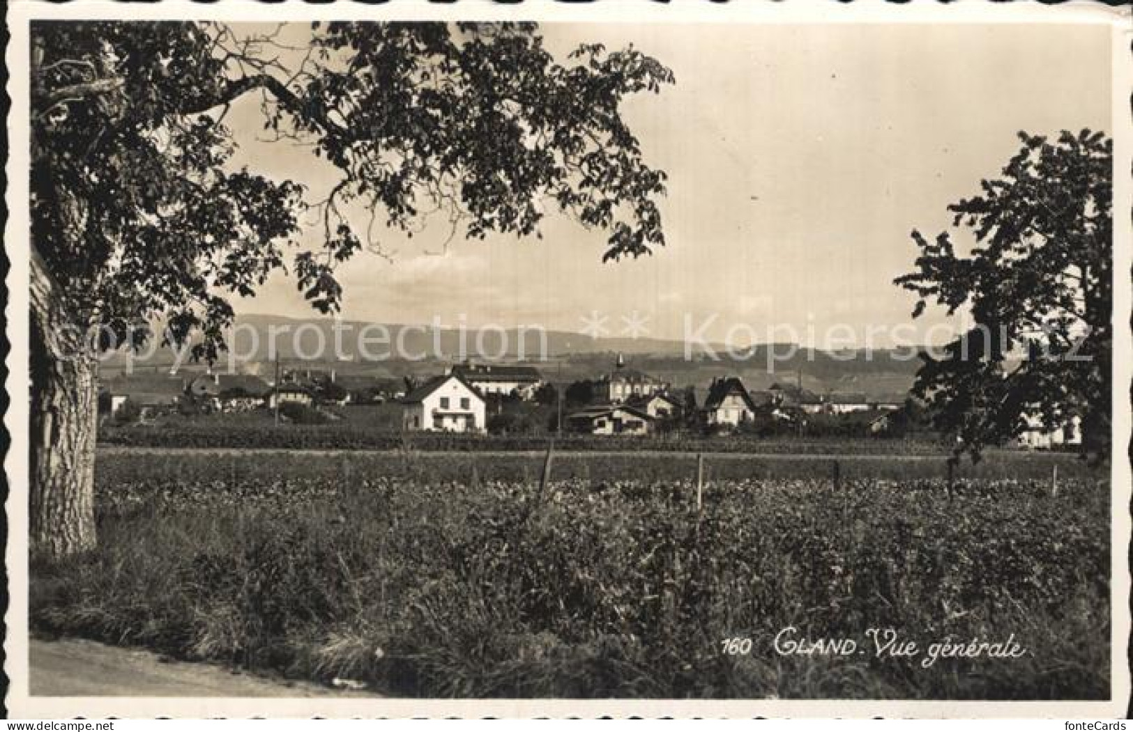 Gland VD Vue generale