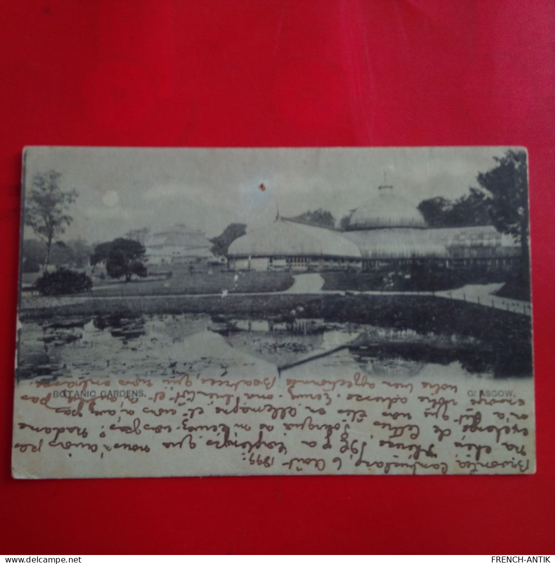 GLASGOW BOTANIC GARDENS