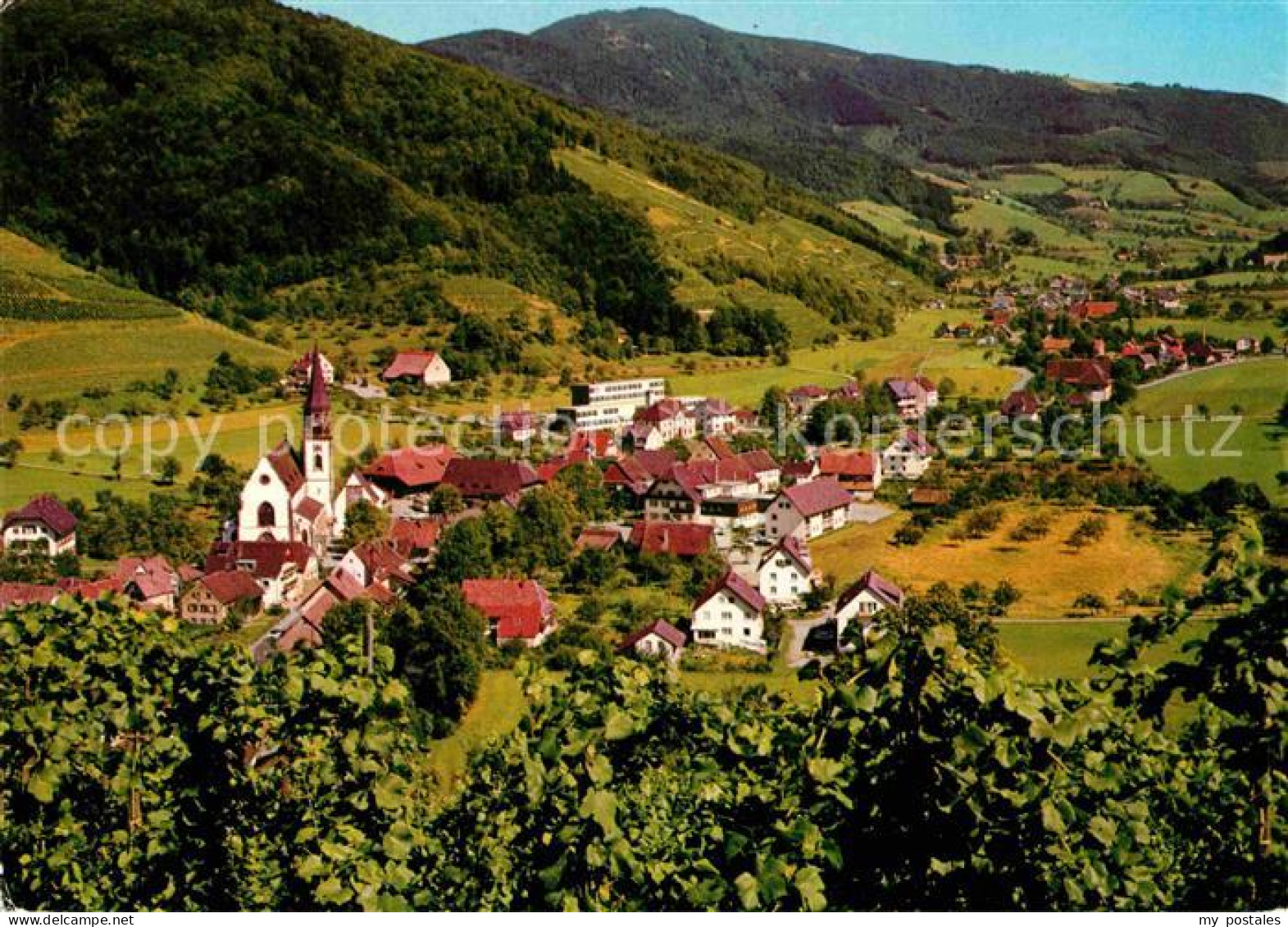 Glottertal Panorama