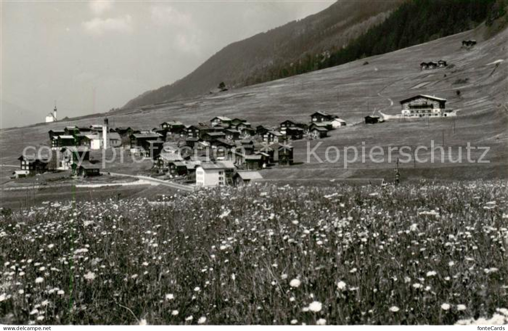 Gluringen Goms VS Panorama