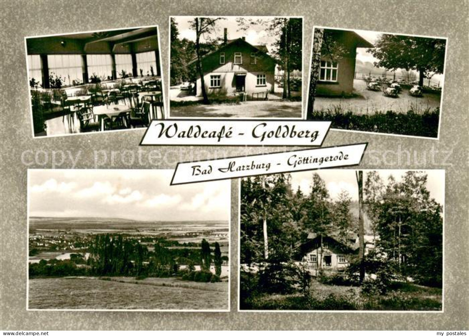Goettingerode Waldcafe Goldberg Gastraum Panorama