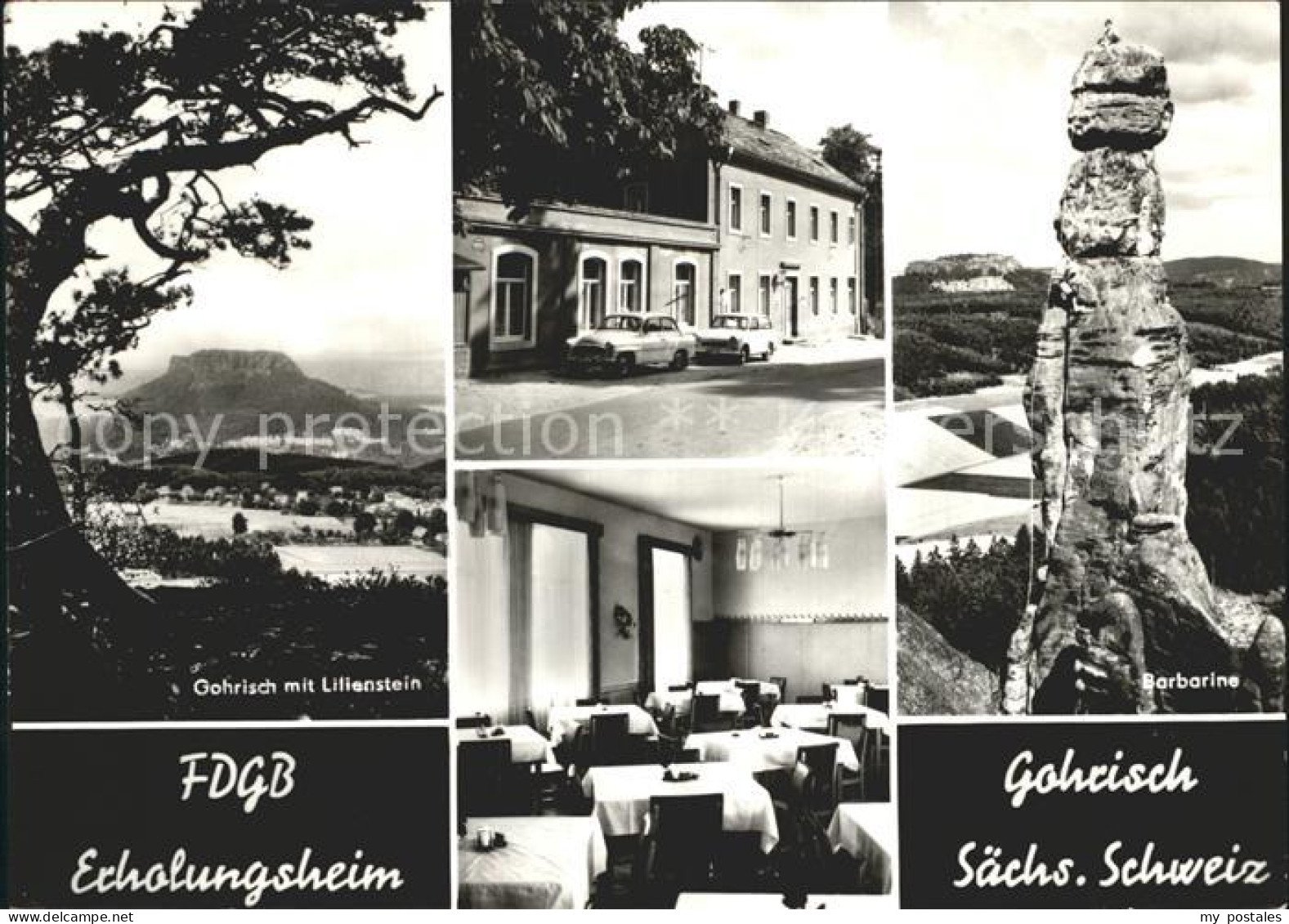 Gohrisch Barbarine Lilienstein