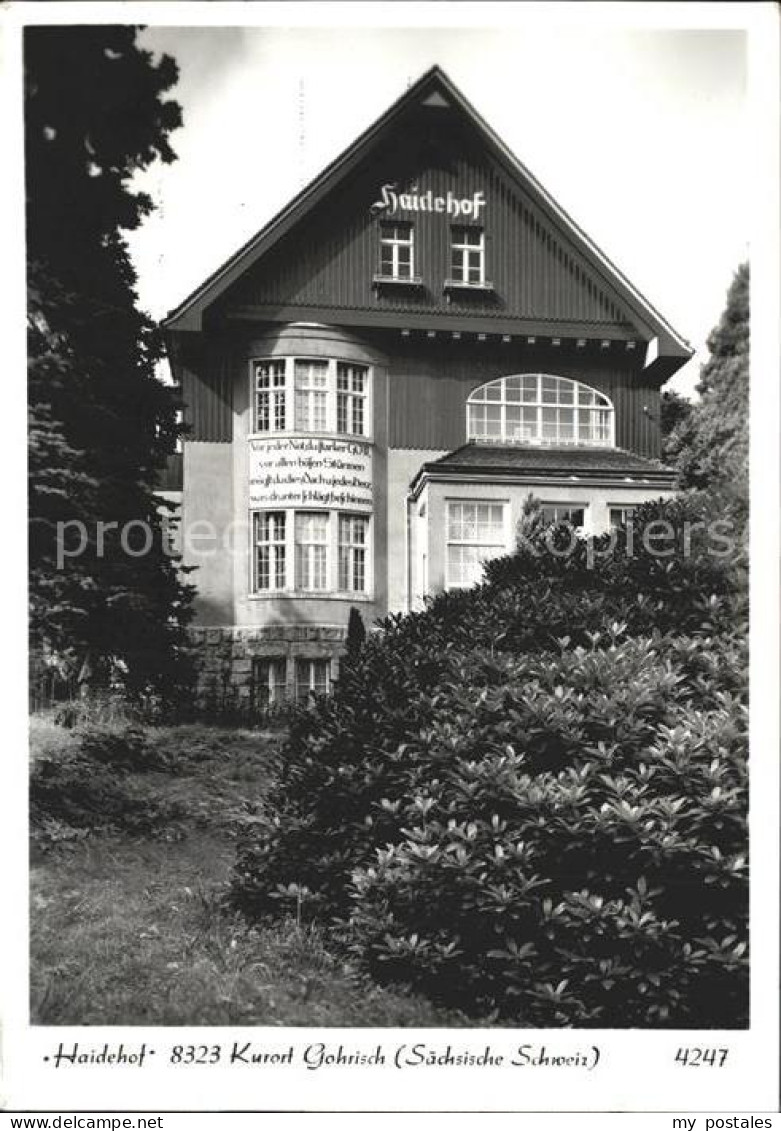 Gohrisch Haidehof