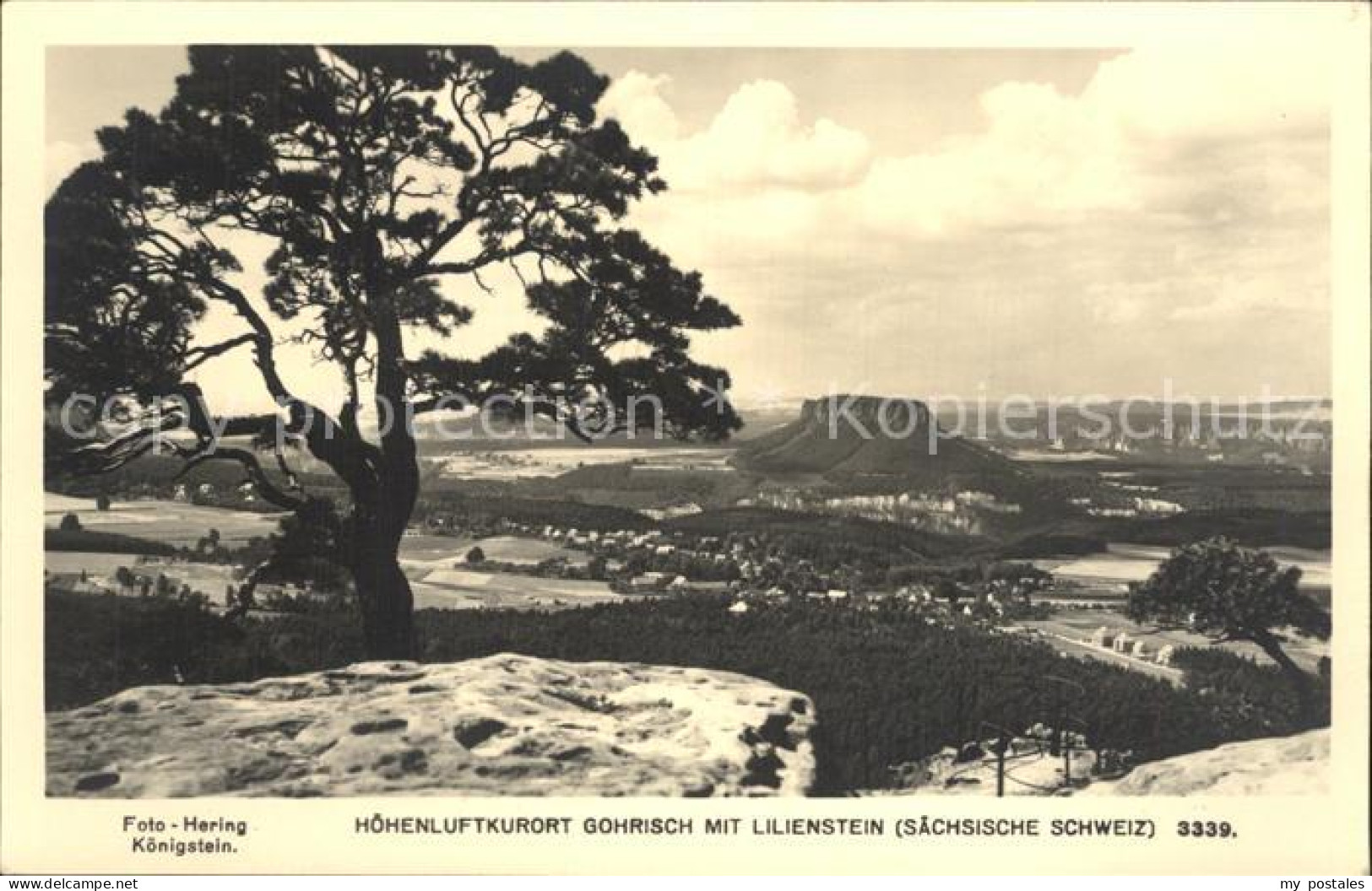 Gohrisch Lilienstein