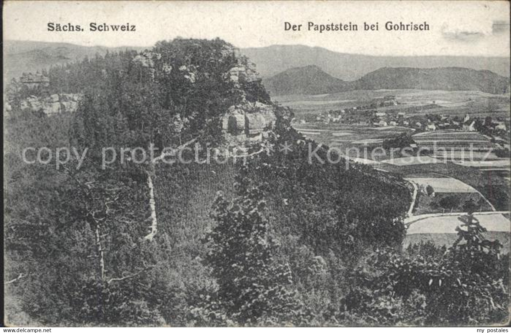 Gohrisch Papststein Felsen Elbsandsteingebirge