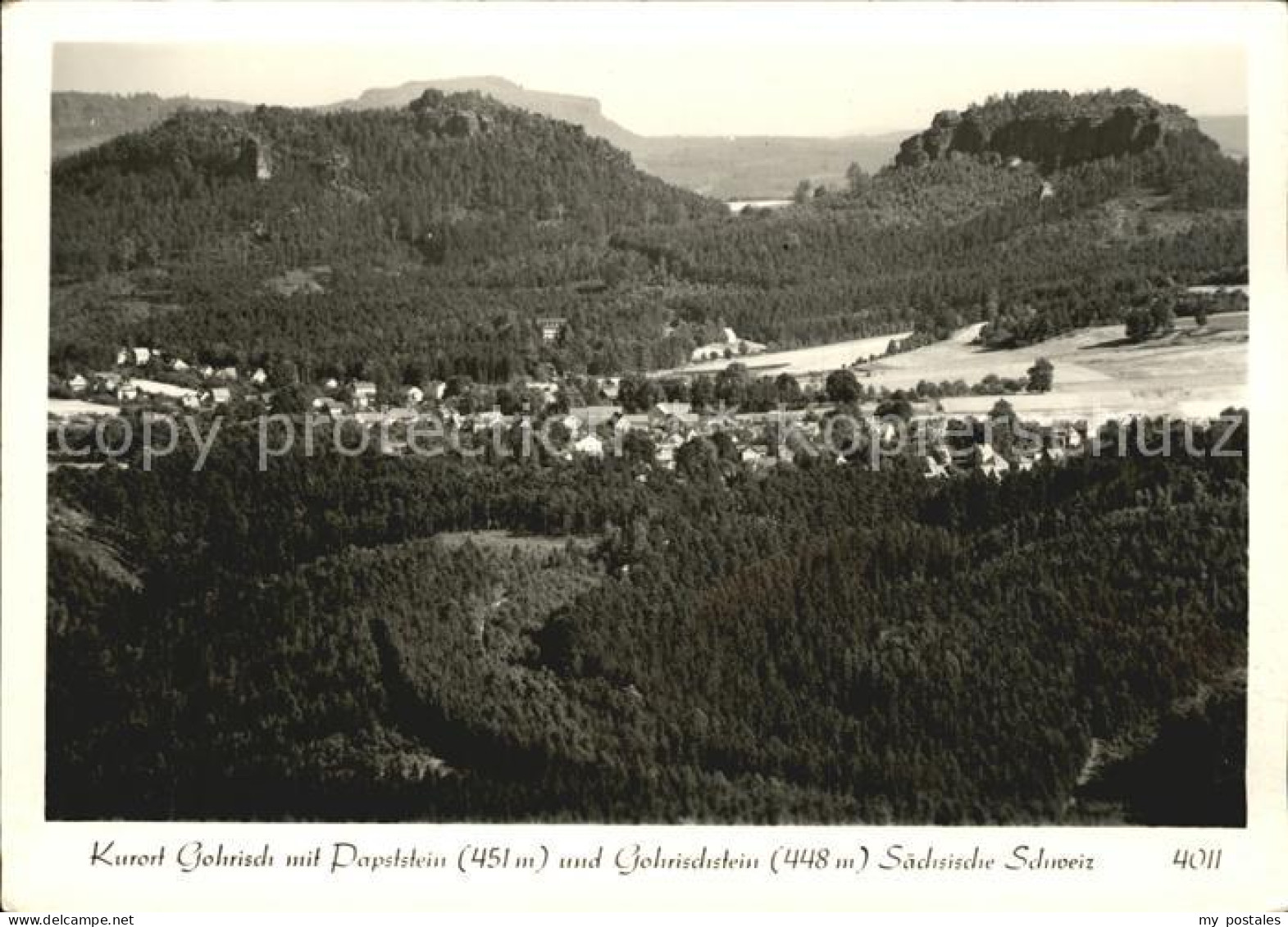 Gohrisch Papststein Gohrischstein