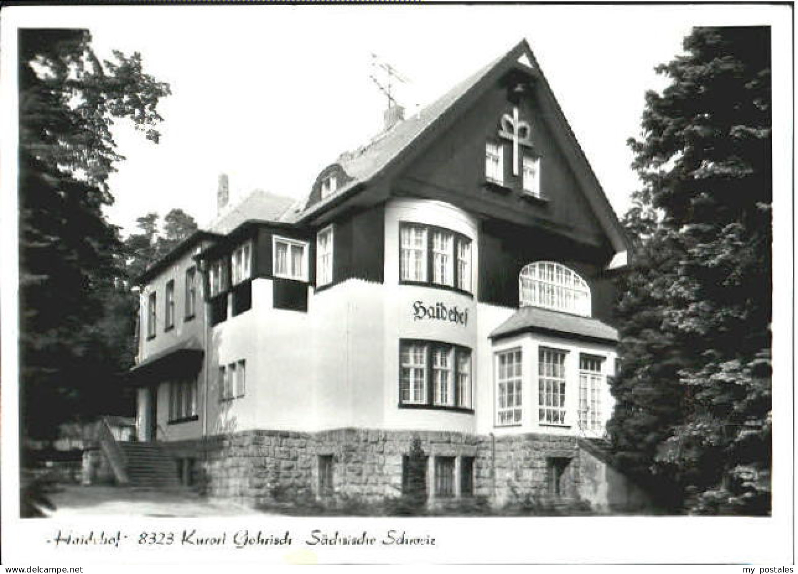 Gohrisch  x 1985