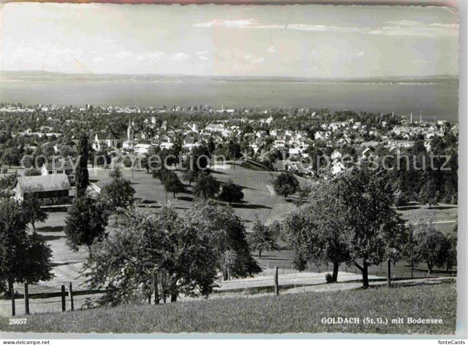 Goldach Rorschach Panorama