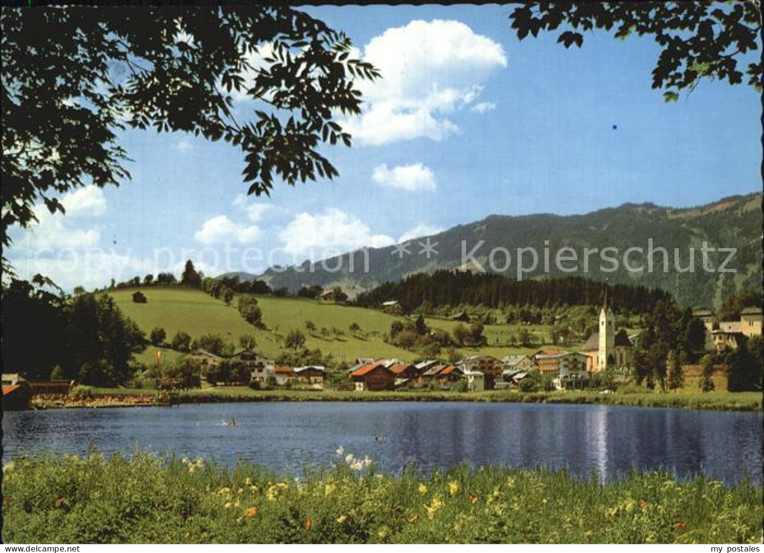 Goldegg Panorama