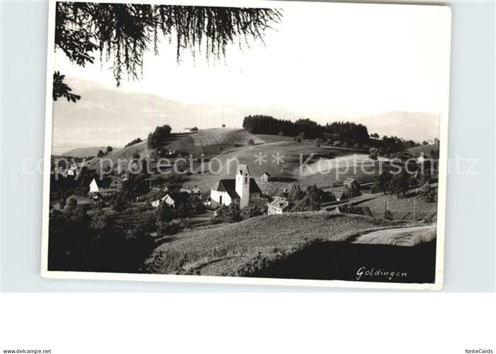 Goldingen Panorama