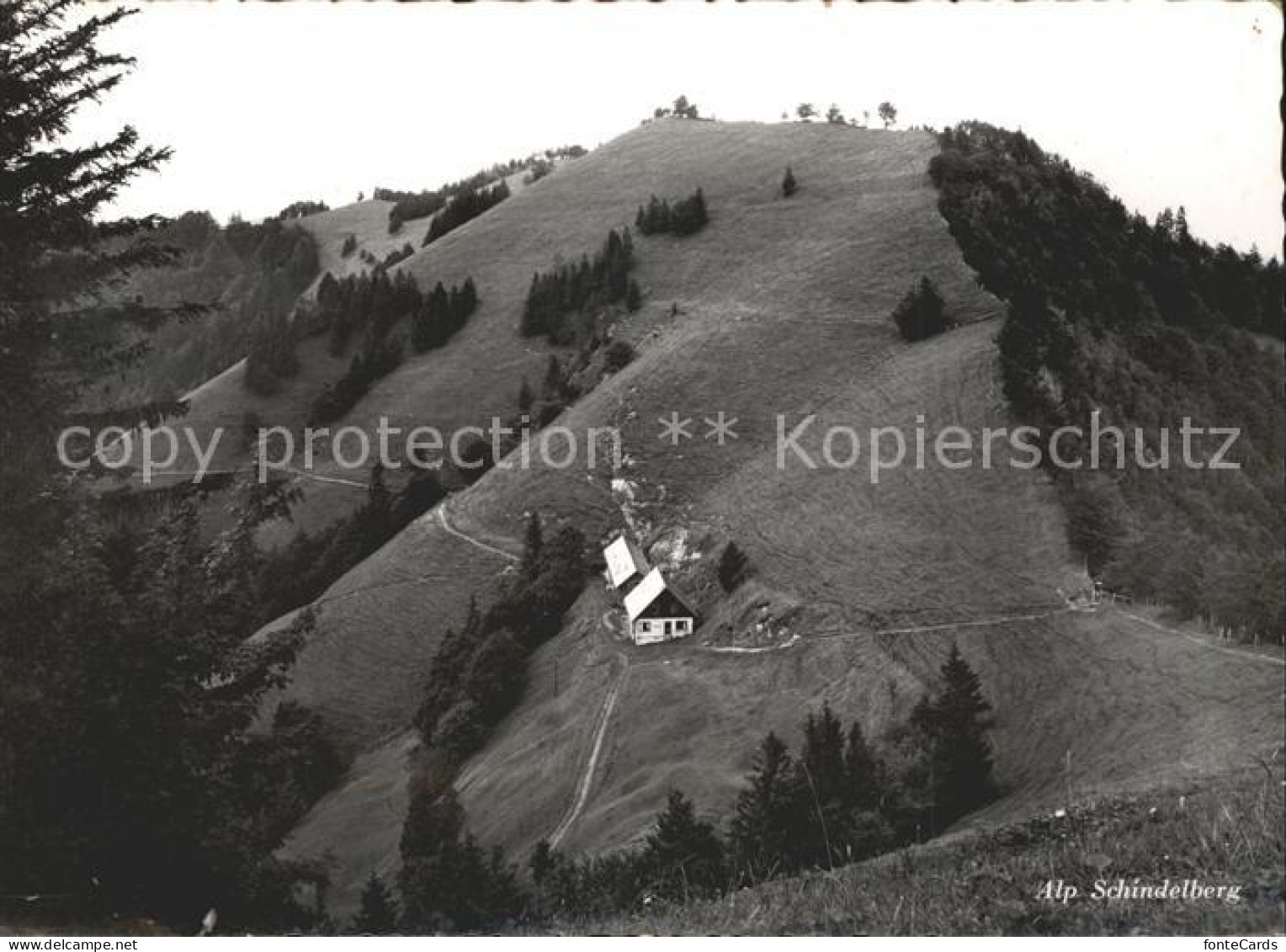 Goldingen Restaurant Alp Schindelberg