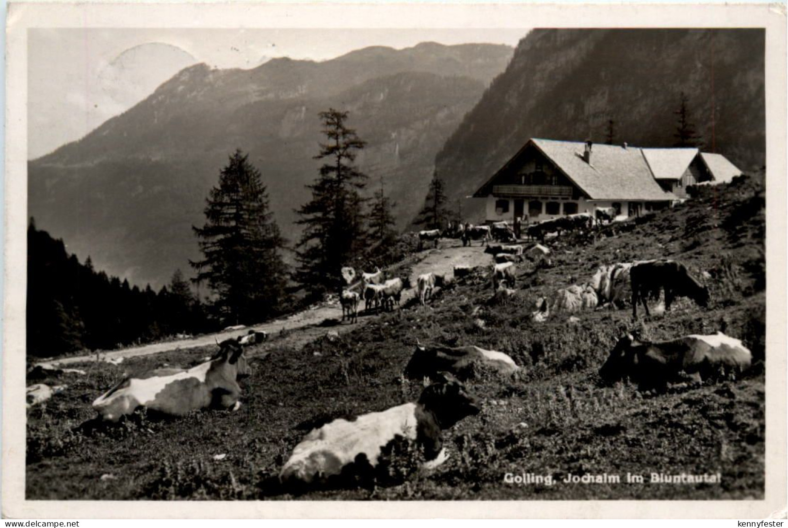 Golling, Jochalm im Bluntautal
