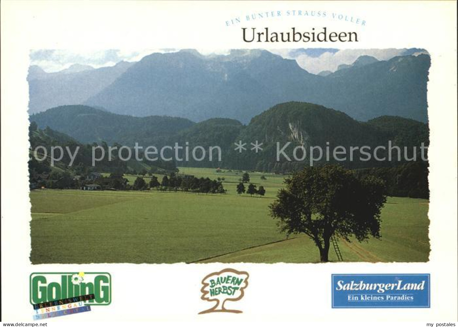Golling Salzach