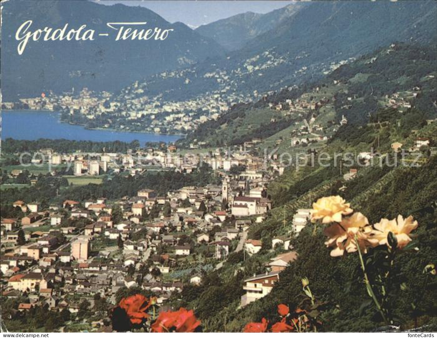 Gordola Tenero Lago Maggiore