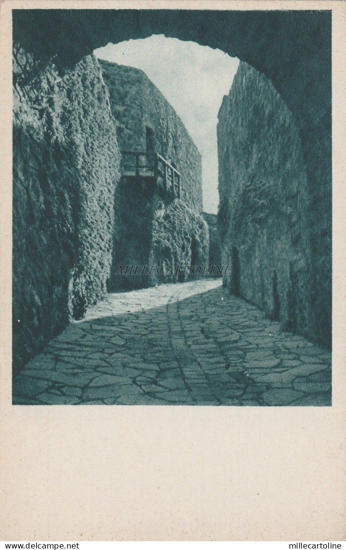 * GORIZIA - Entrata al Castello