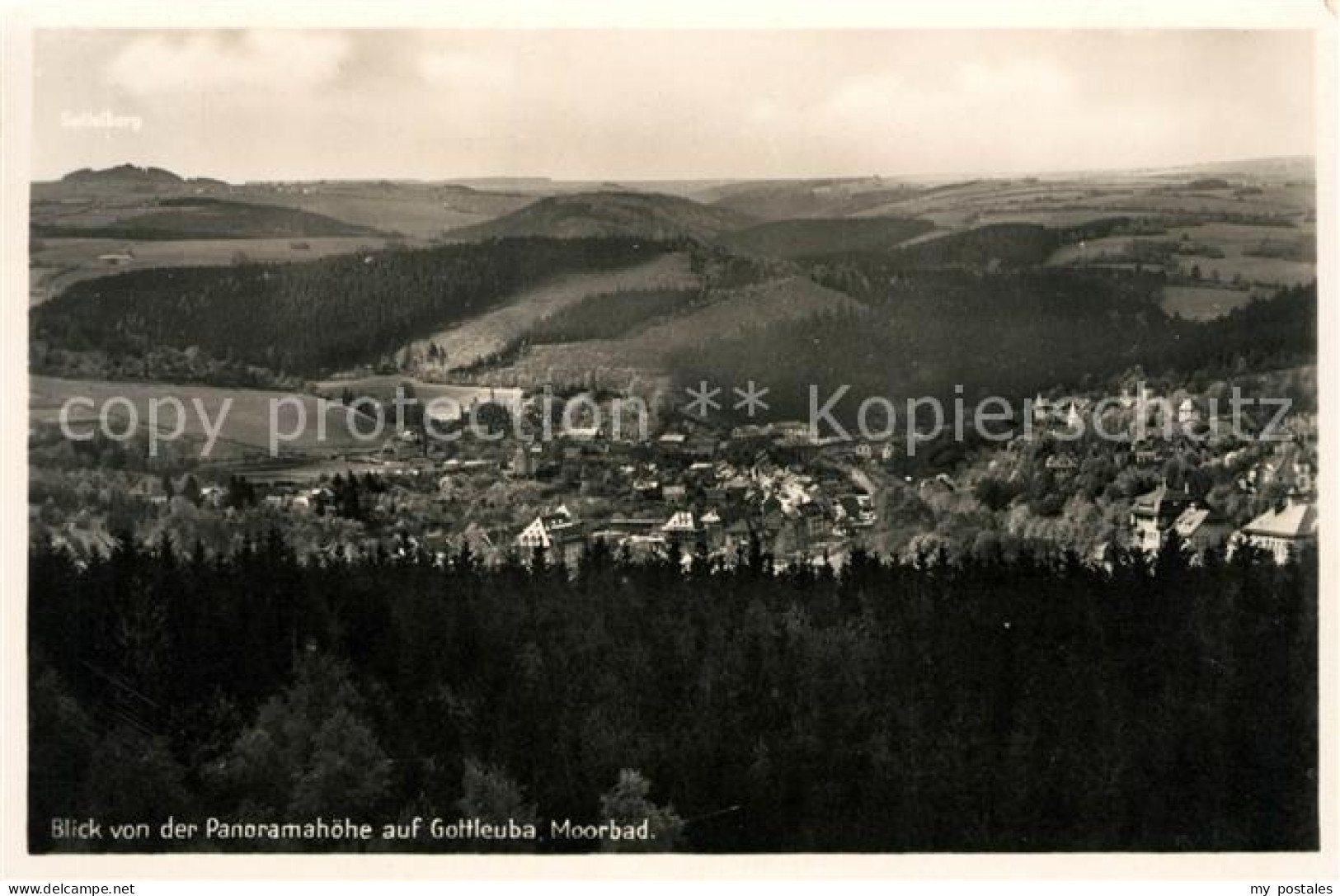 Gottleuba-Berggiesshuebel Bad Panorama