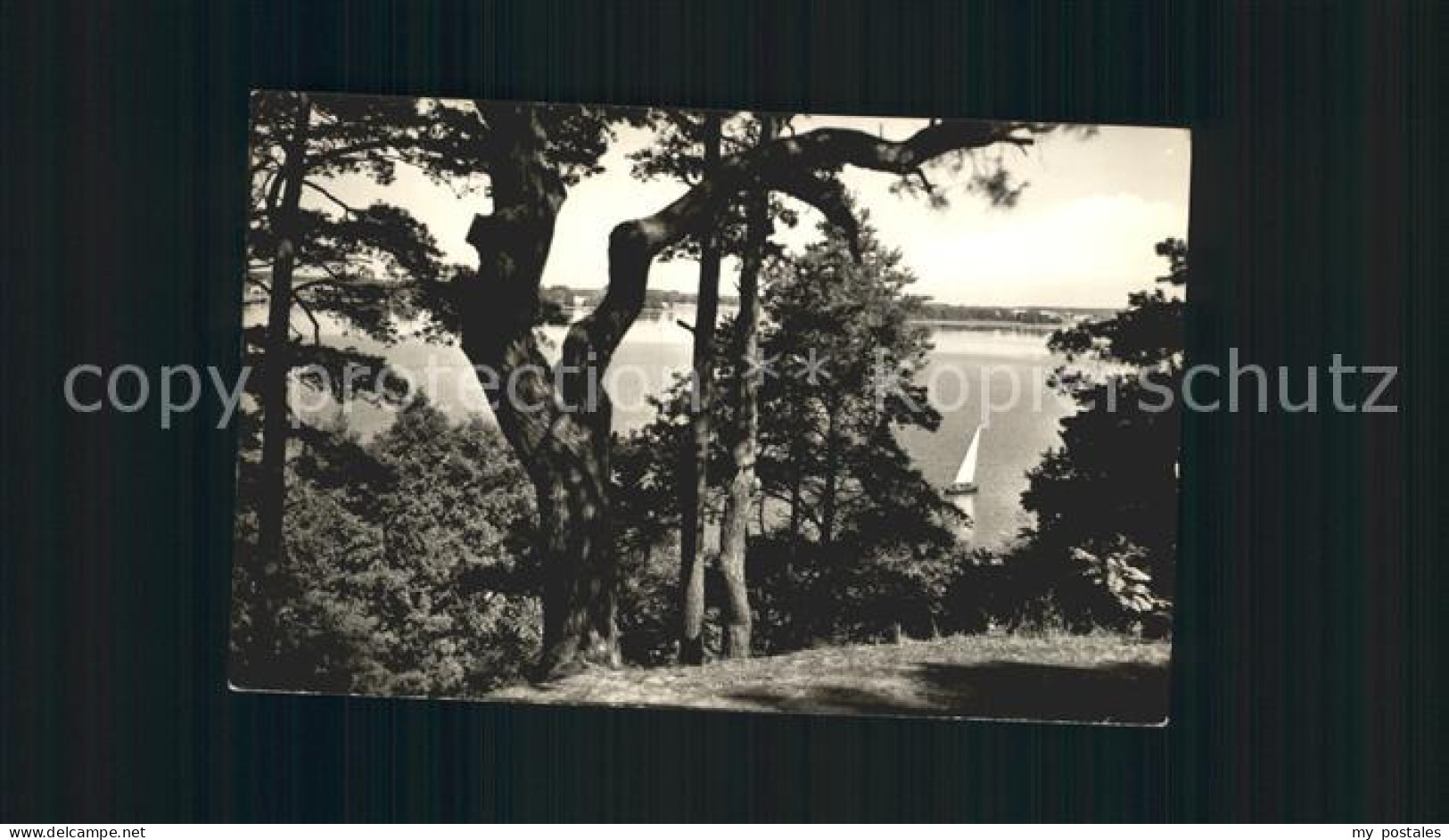 Goyatz Blick auf kleinen Schwielochsee