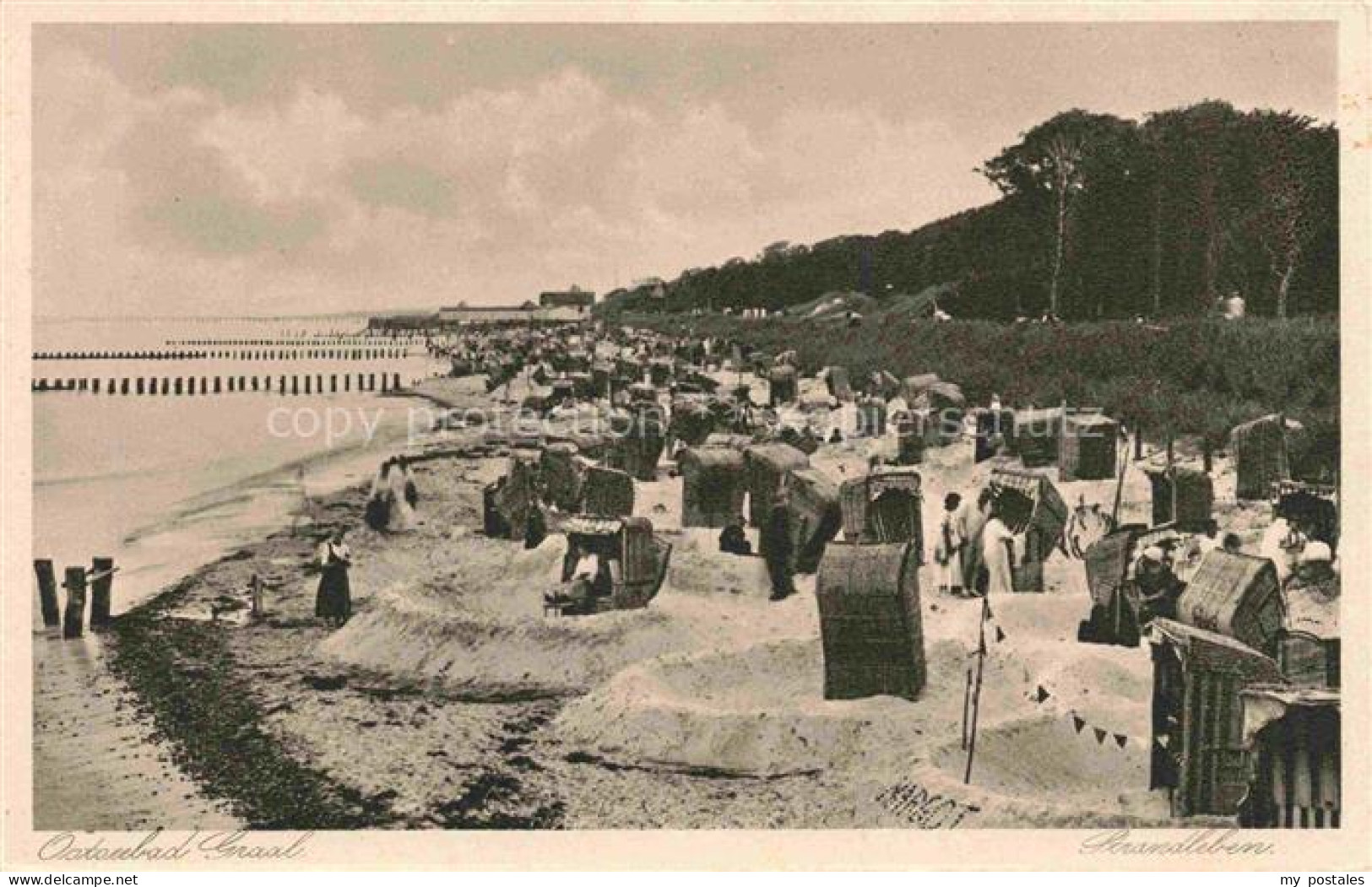 Graal-Mueritz Ostseebad Am Strand