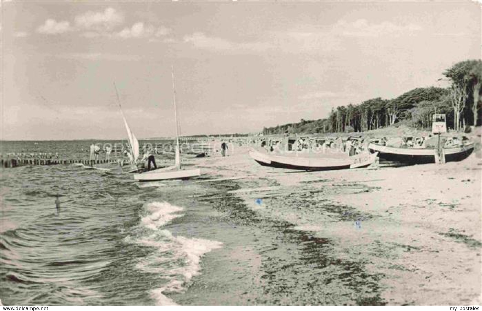 Graal-Mueritz Ostseebad Am Strand