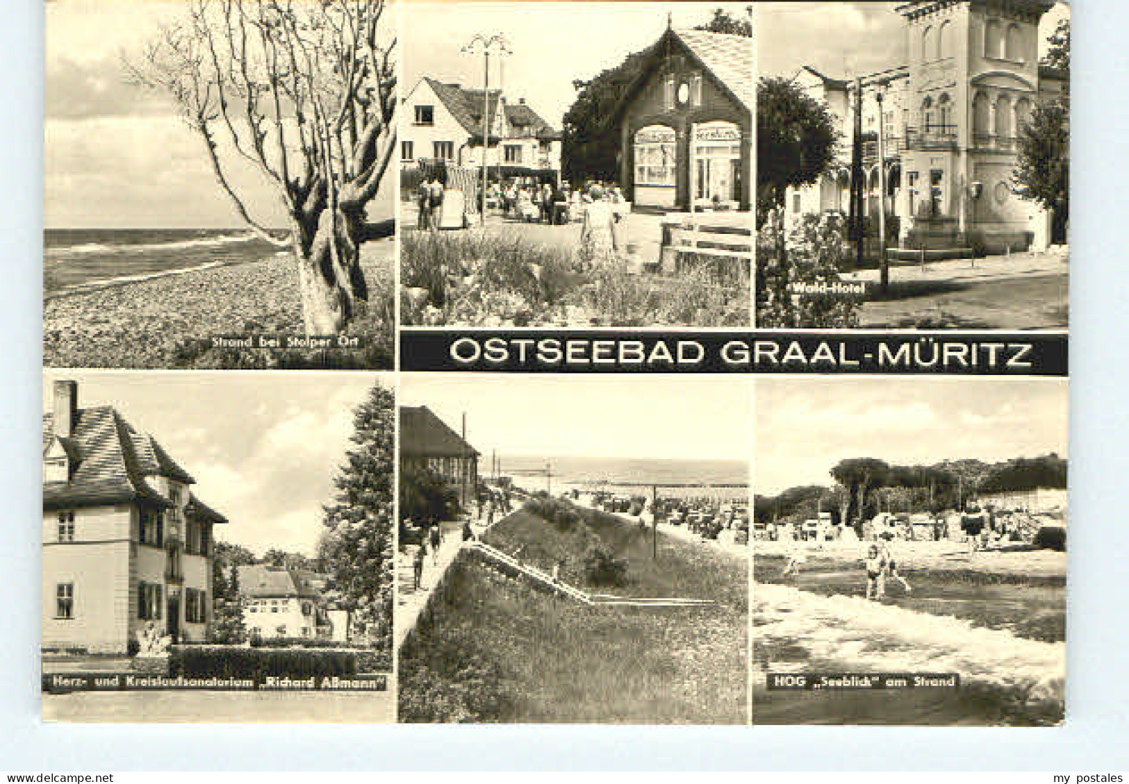 Graal-Mueritz Ostseebad Graal Mueritz