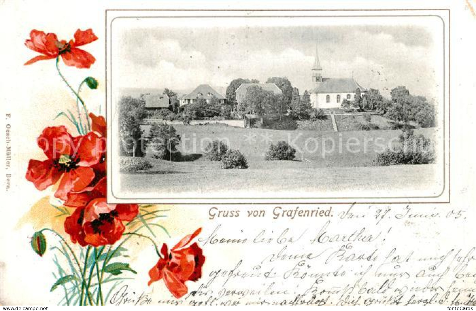 Grafenried Fraubrunnen Panorama Mohnblumen Kirche