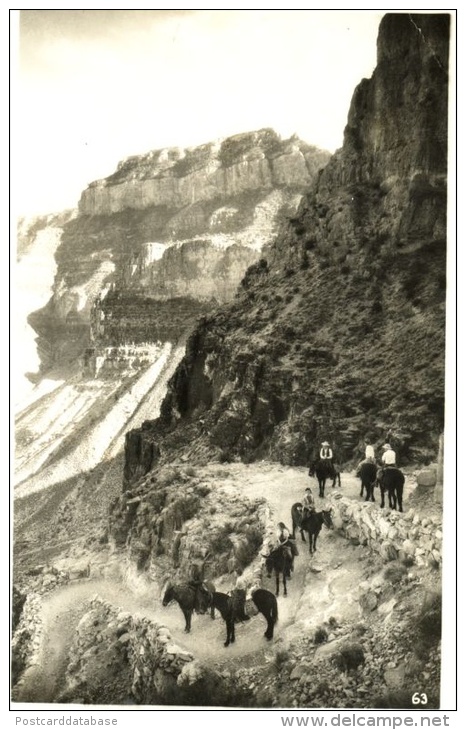 Grand Canyon, Arizona - & horse