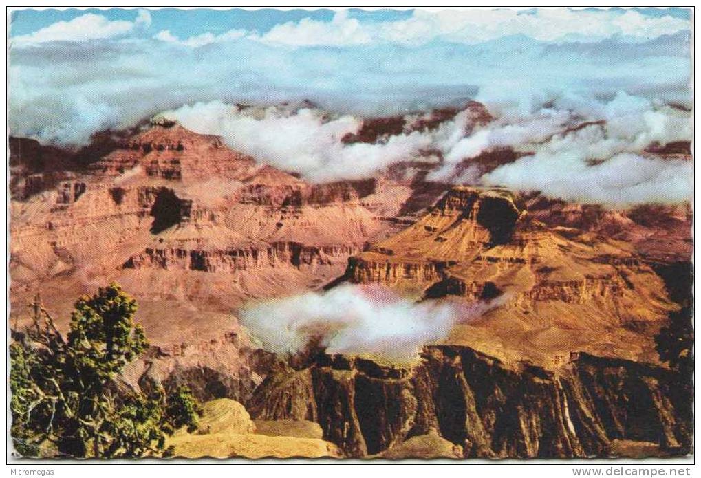 Grand Canyon National Park - ARIZONA