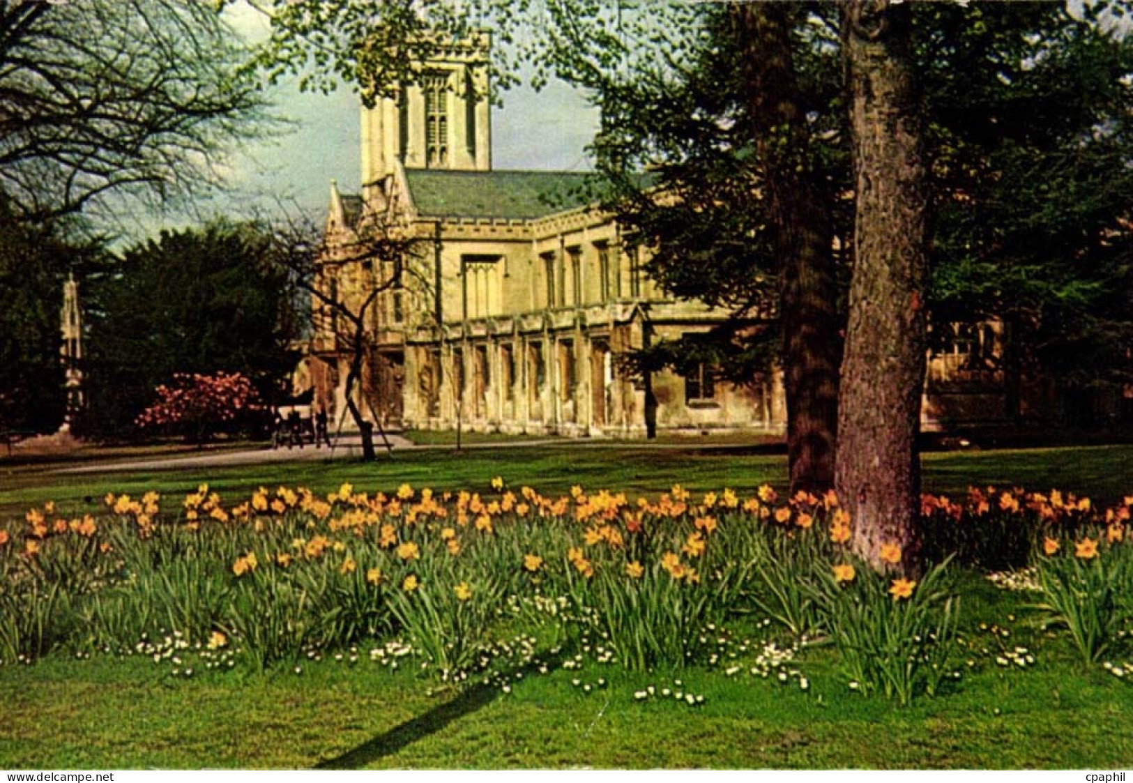 Grande Bretagne Cheltenham College CPA