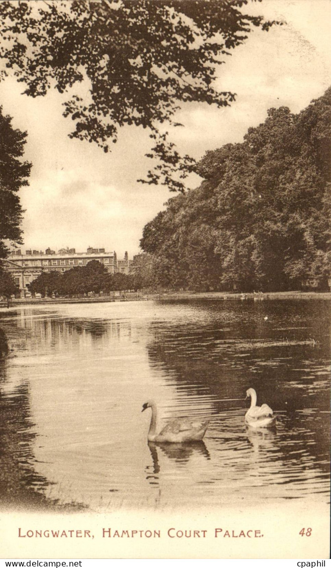 Grande Bretagne Great Britain CPA Longwater Hampton Court palace (cygnes swan)