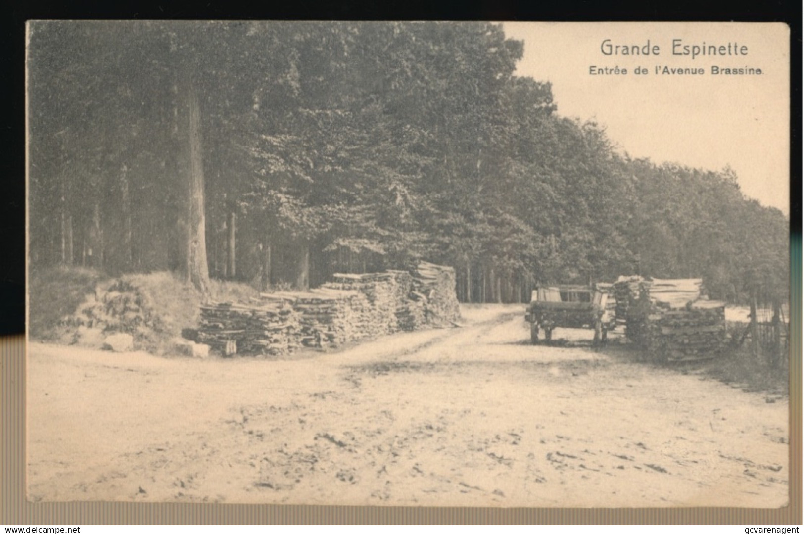 GRANDE ESPINETTE     ENTREE DE L'AVENUE BRASSINE