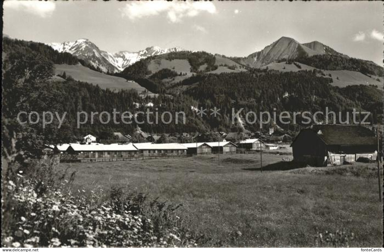 Grandvillard et Camp DCA