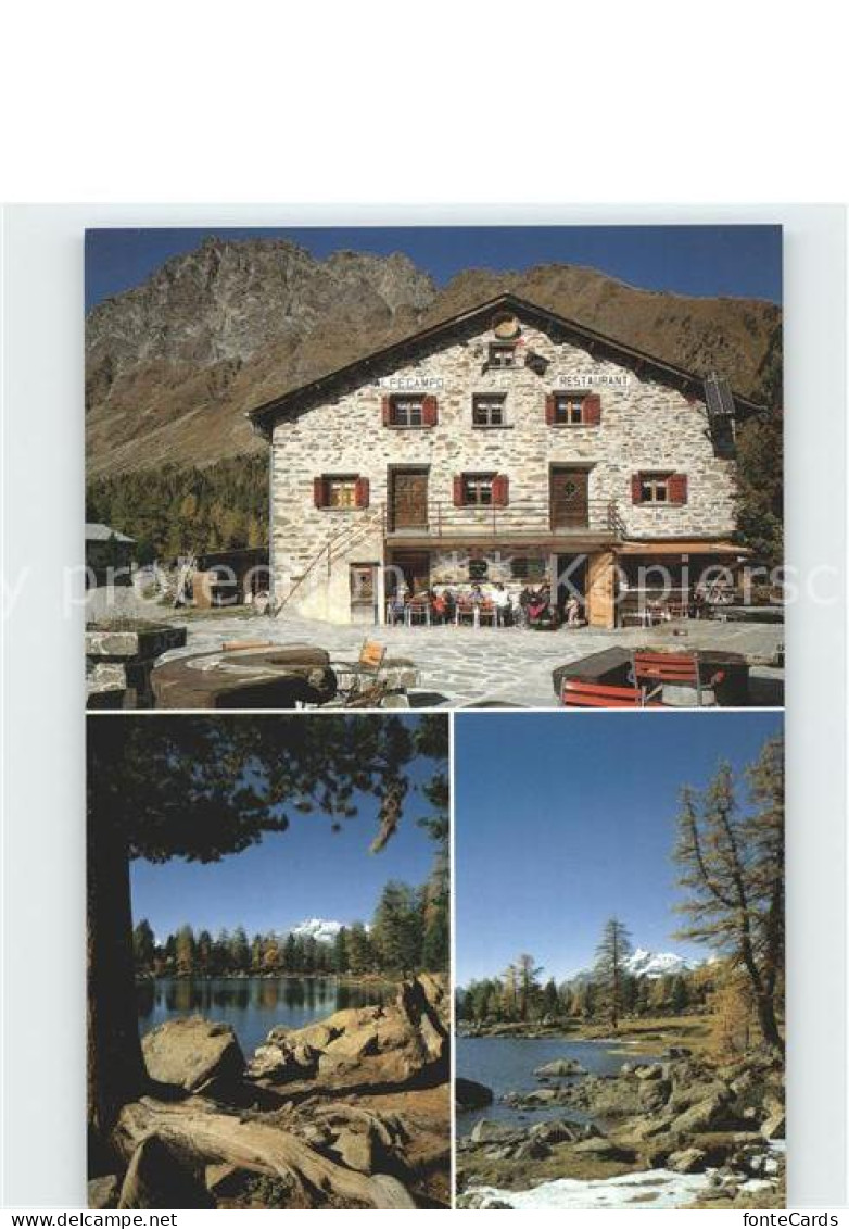 Graubuenden Kanton Valle di Campo Ristorante Alpe Campo