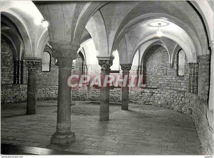 CPM Vich Cathedral (Cripta)